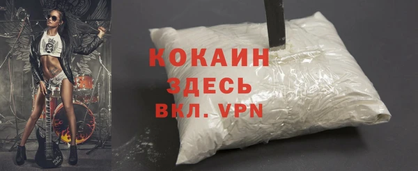 твердый Инта