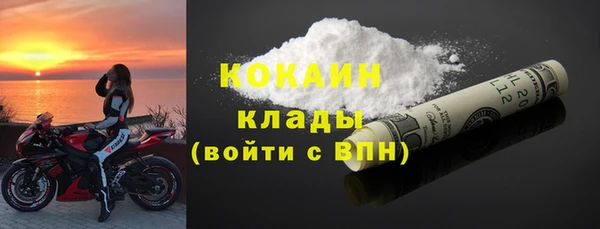 твердый Инта
