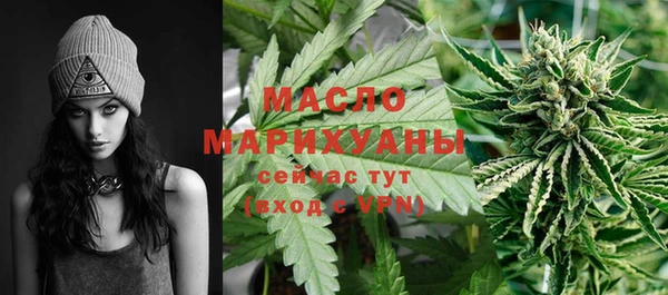 твердый Инта