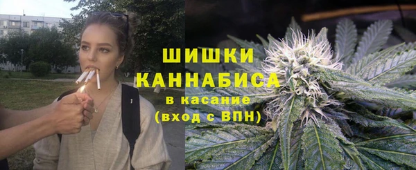 твердый Инта