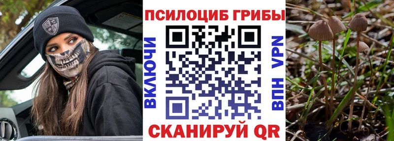 Галлюциногенные грибы GOLDEN TEACHER Купить Горно-Алтайск
